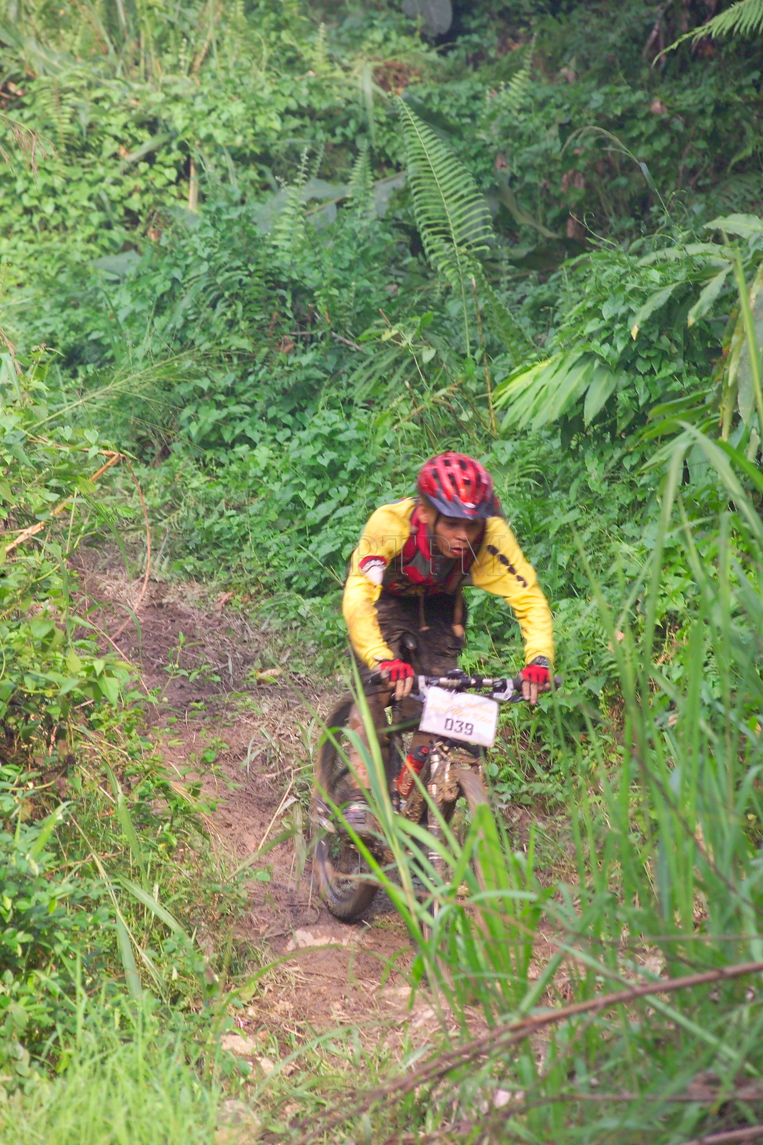 PTPM 06 31 kilau D9X44241